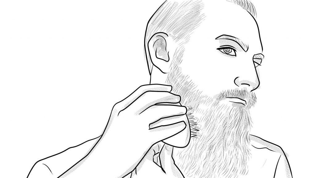 Use un cepillo para barba para eliminar los pelos sueltos.